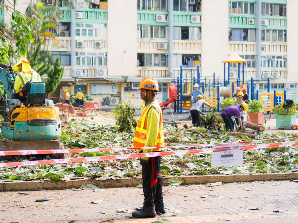 Storm Cleanup